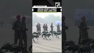 Watch: Indian Army's robotic mules ready for Army Day Parade 2025