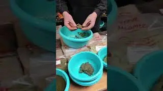 Fiber paste