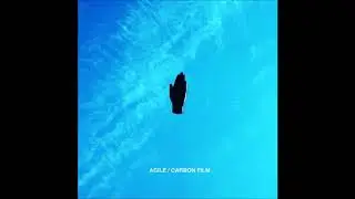 10. Agile - CARBON FILM [13.07.2015]