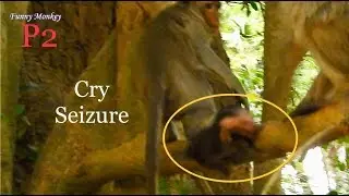 Poor Sami tried to move out from kidnapper nearly fall down, Congrats time! Monkey so happy-P2