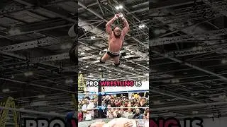 Pro Wrestling on Easy Mode? {2 of 16} #twmi #WWE #AEW #TNAimpact #indiewrestling