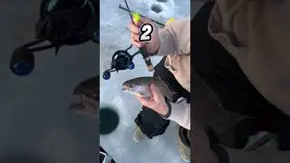 3 Main Benefits of Inline Ice Fishing Reels with the Piscifun ICX Frost 🧊🎣 #icefishing