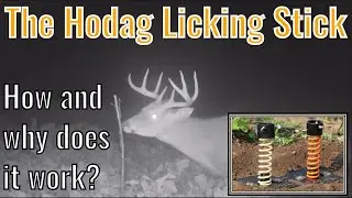 What is the Hodag Licking Stick?