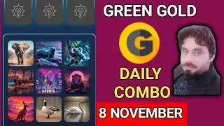 GREEN GOLD DAILY COMBO 8 NOVEMBER | GREEN GOLD DAILY COMBO | GREEN GOLD COMBO TODAY | GREEN GOLD