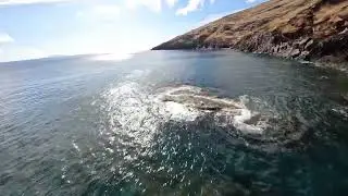 Aerial Motion Over Nature | Smooth, Relaxing Electronic Music