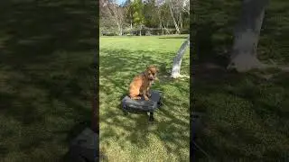 Tito's HILARIOUS Table Manners Makeover