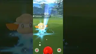 Finally!! I got this pvp meta shiny from wild ✨ #shorts