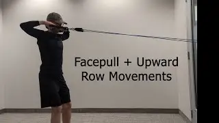Facepulls + Upward Row Movements