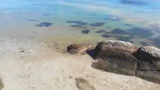 Aerial view of beautiful virgin stone rocky beach. Aerial view drone.1920x1080