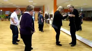 Cha cha cha hj&aacute; Dansf&eacute;laginu Hv&ouml;nn