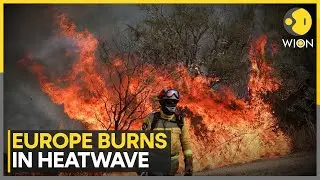 Europe Wildfires: Heatwave Grips France, Italy, Spain; Three Dead in Fire Crisis | WION World News