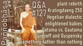 Question & Answer #127: from IQ and Enlightenment to What Monks Wear Under Their Lower Robe