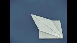 Bird base