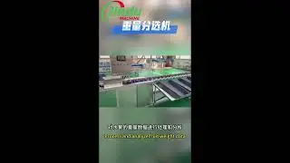 What Makes HIGH EFFICIENCY Fruit Sorting Machines So Powerful?