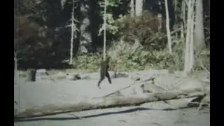 Patterson - Gimlin Film Recreation - Bigfoot