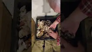 Stacking Worm Bin Simple Feeding 20260104