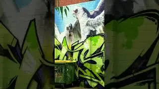 Sandringham Street Art