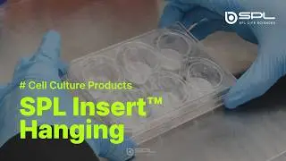 SPLInsert&trade; Hanging