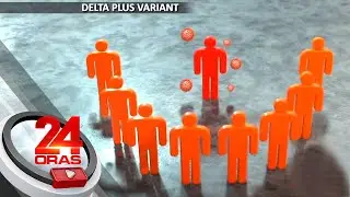 &lsquo;Delta plus&rsquo; variant contains additional mutation in spike protein &mdash;expert | 24 Oras