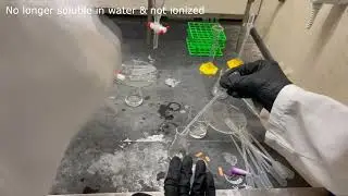ACID-BASE EXTRACTION 2024 (LEAKED) (TOP SECRET)
