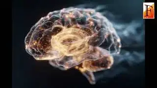 Researchers Discover Intensive Meditation Retreat Rewires the Brain and Blood in Just 7 Days
