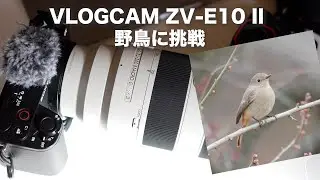 【ZV-E10IIのAF性能はどう？？】今度はVLOGカメラで野鳥を撮る！ レンズはSEL70200G2で撮影！大阪は雪で吹雪いてきた⛄️【Vlog # 112 】