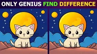 Spot The Difference : Only Genius Find Differences (Find The Difference #65)