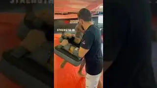 Aljamain Sterling training kicks 🔥