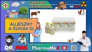 🐶 AUJESZKY A-SUIVAX GI Farmaco Veterinario a cosa serve ? - Foglietto Illustrativo Salute