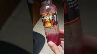 Doping pleci dosis tinggi metabolis pro booster pleci #dopingpleci #vitaminburung #vitaminpleci