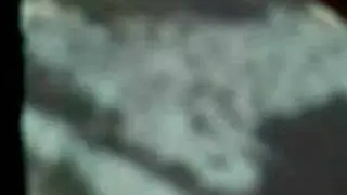 FL&Ouml;&Ouml;T