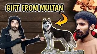 Multan k fan ne husky 🎁 gift kr diya  1/16/25