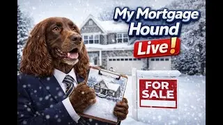 Live Stream - Off Season Home Buying