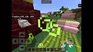 End Animal Abuse - Learn through Minecraft (Girl Scout Silver Award project)