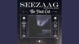 SEEZAAG (The Final Cut) (feat. stephie)