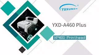 Yuxunda all in one DTF printer with xp600 printhead, 30cm/40cm/ 60cm print width with powder recycle