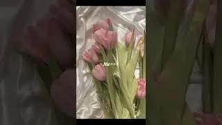 For tulip lovers🤍🌷#tulip# #aesthetic #moonlight#supportme#shortvideo #shortsfeed #shorts
