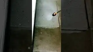 Oddly satisfying pressure washing #satisfyingpressurewashing #turbonozzle #diy