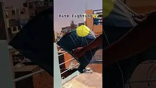 Must Video And Kite Fighting😉#viralvideo #kitefighting #shortsfeed #kitelover #shorts