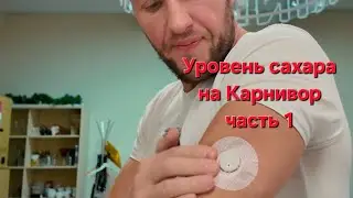 Сахар в крови. Уровень на карнивор при типе питания OMAD.