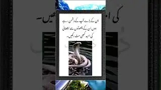 Purany Dushmano Se Bachyn #ytshort #ytshorts #viralvideo #urduquotes #sadpoetry #trending #shorts