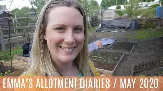 EMMA'S ALLOTMENT DIARIES / MAY 2020 / PUMPKIN DRAMA