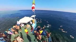 Rixos Premium Seagate