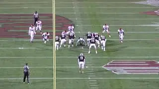 Hayes Hicken- 2020 Draft Prospect- Punter/ Kicker - NFL/XFL/CFL