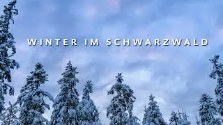 Winter im Schwarzwald