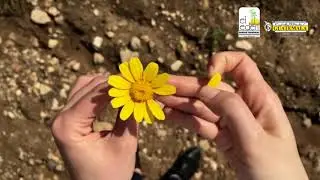 Palabras de consuelo ante la pérdida de un ser querido