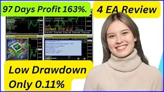 Review 4 Expert Advisor : Euro Scalper NDD, Lutos EA, Adapt EA & Gold Reaper EA for Prop Firm