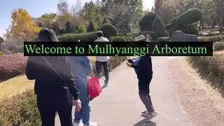 [4K] REUPLOAD- Autumn in South Korea| Mulhyanggi Arboretum in Osan City
