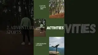 Discover Kivale Forest &ndash; Mbooni&rsquo;s Hidden Gem