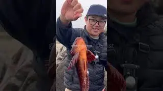 Fishing Fun at Monterey #fishing #montereybay